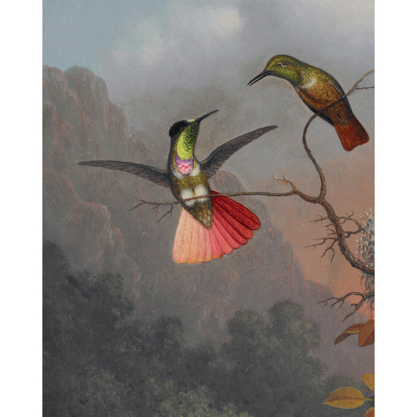 Cross Pollination: Heade, Cole, Church, And Our Contemporary Moment