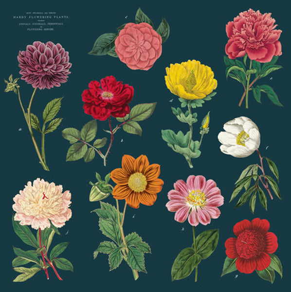 Botanical Napkin Set