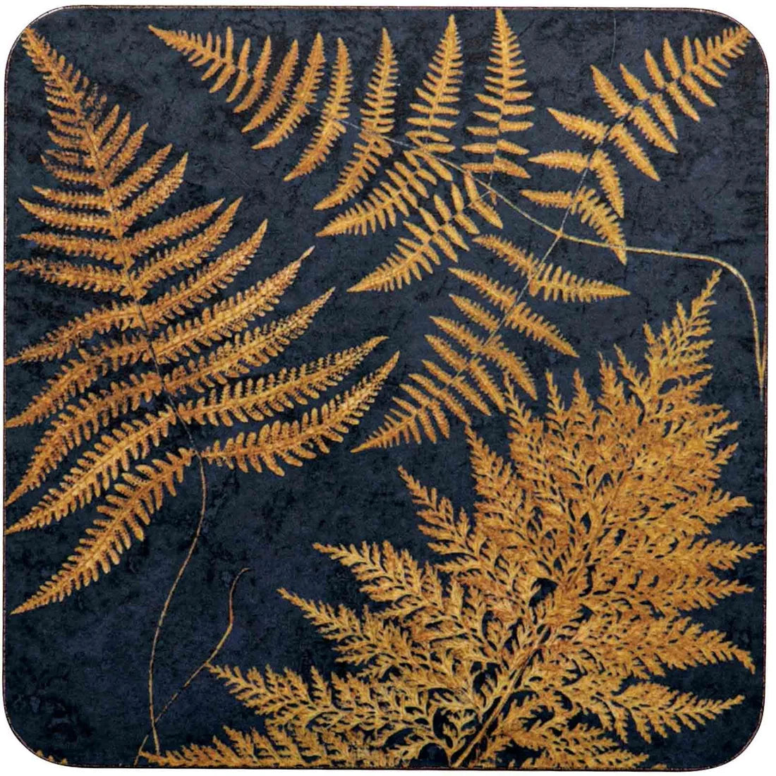 Fern Coaster