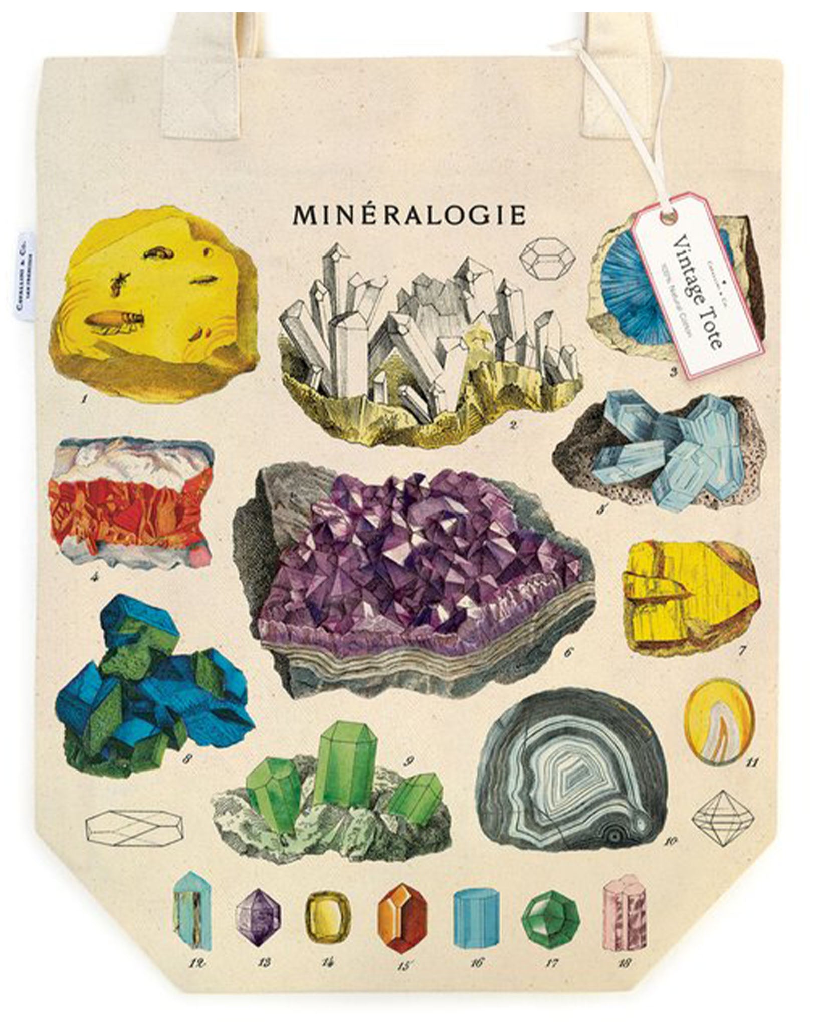 Mineralogie Tote
