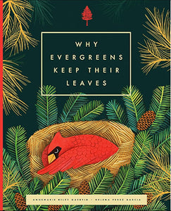 Why Evergreens Keep Their Leaves