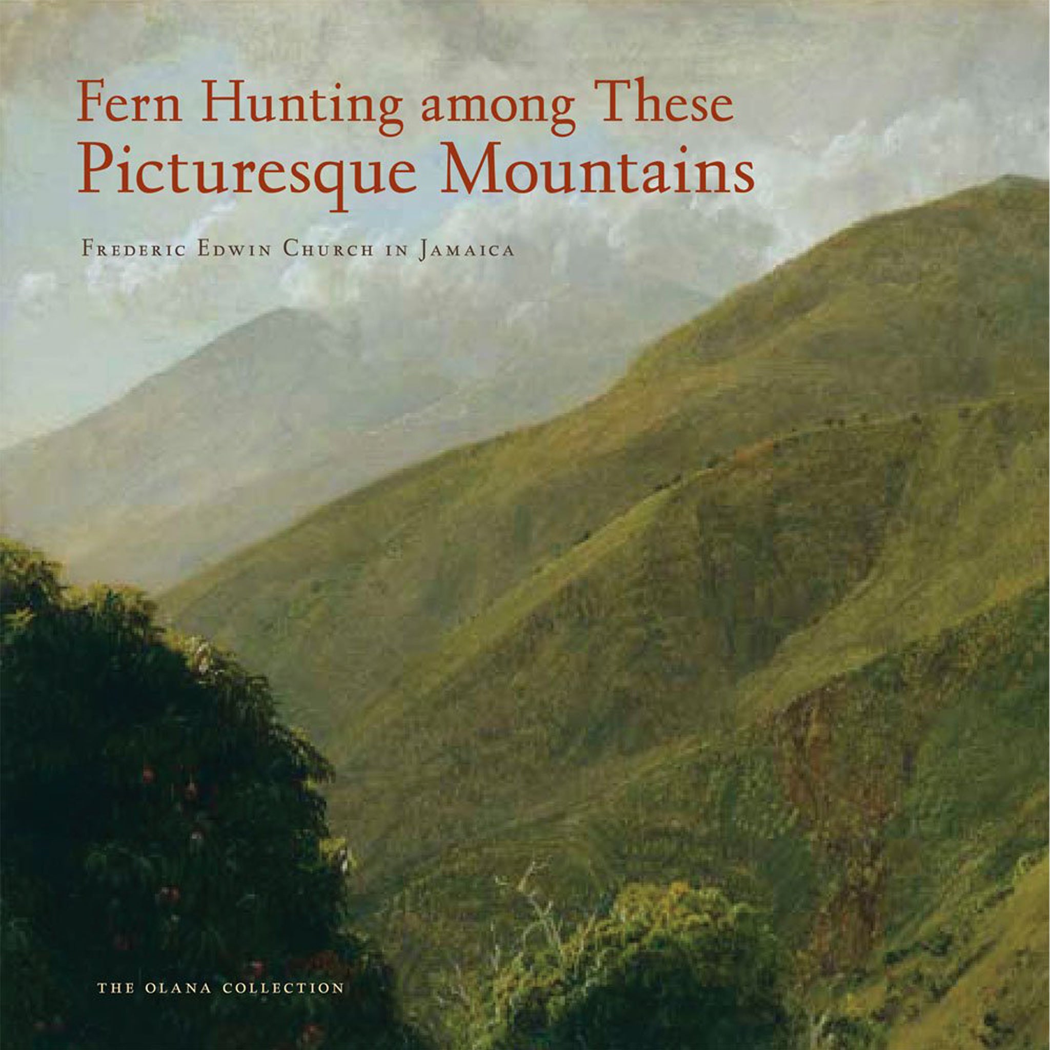 Fern Hunting among These Picturesque Mountains