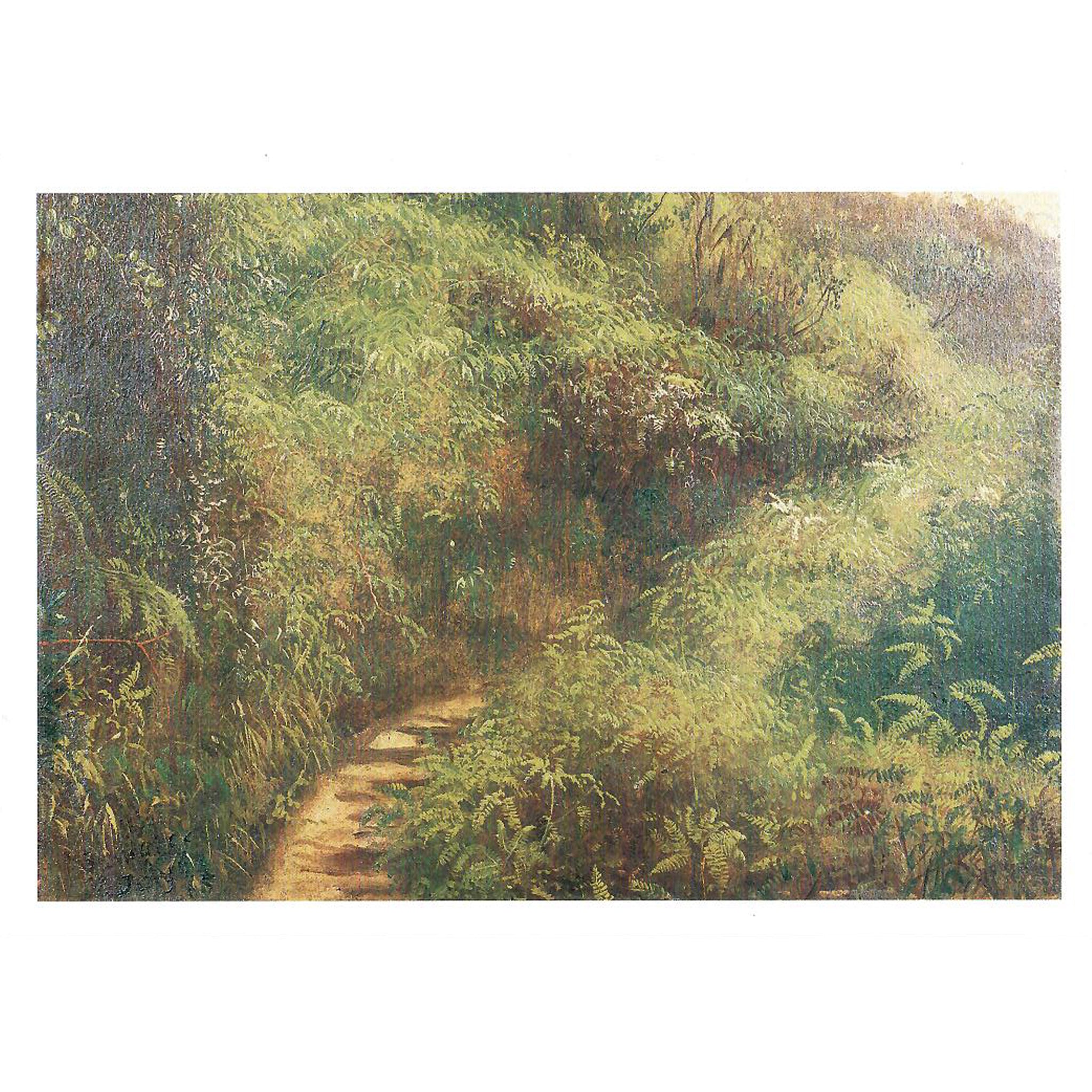 Fern Walk, Jamaica Notecard