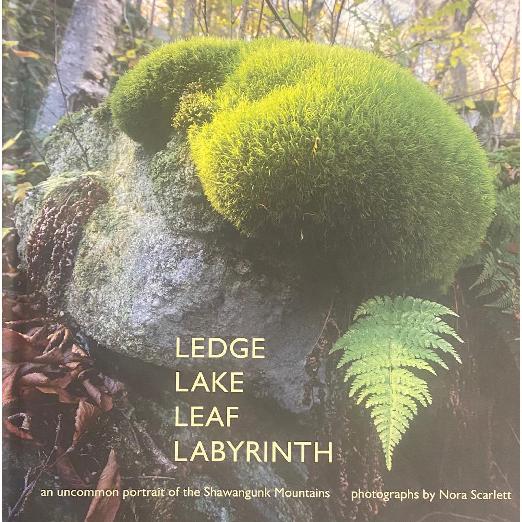 Ledge Lake Leaf Labyrinth