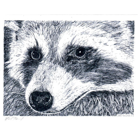 Raccoon Notecard, Pen and Ink Artwork by Paul Kmiotek