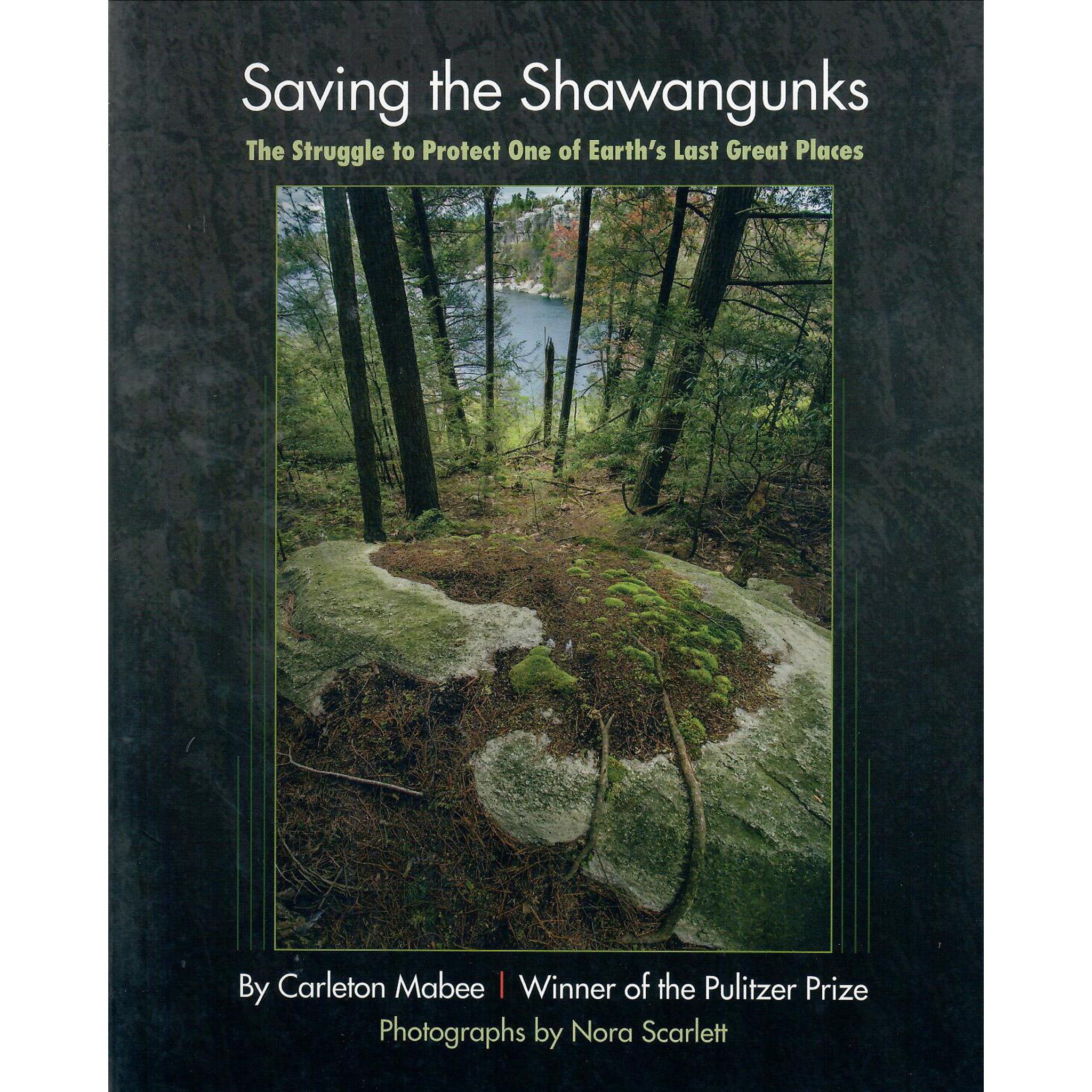 Saving the Shawangunks