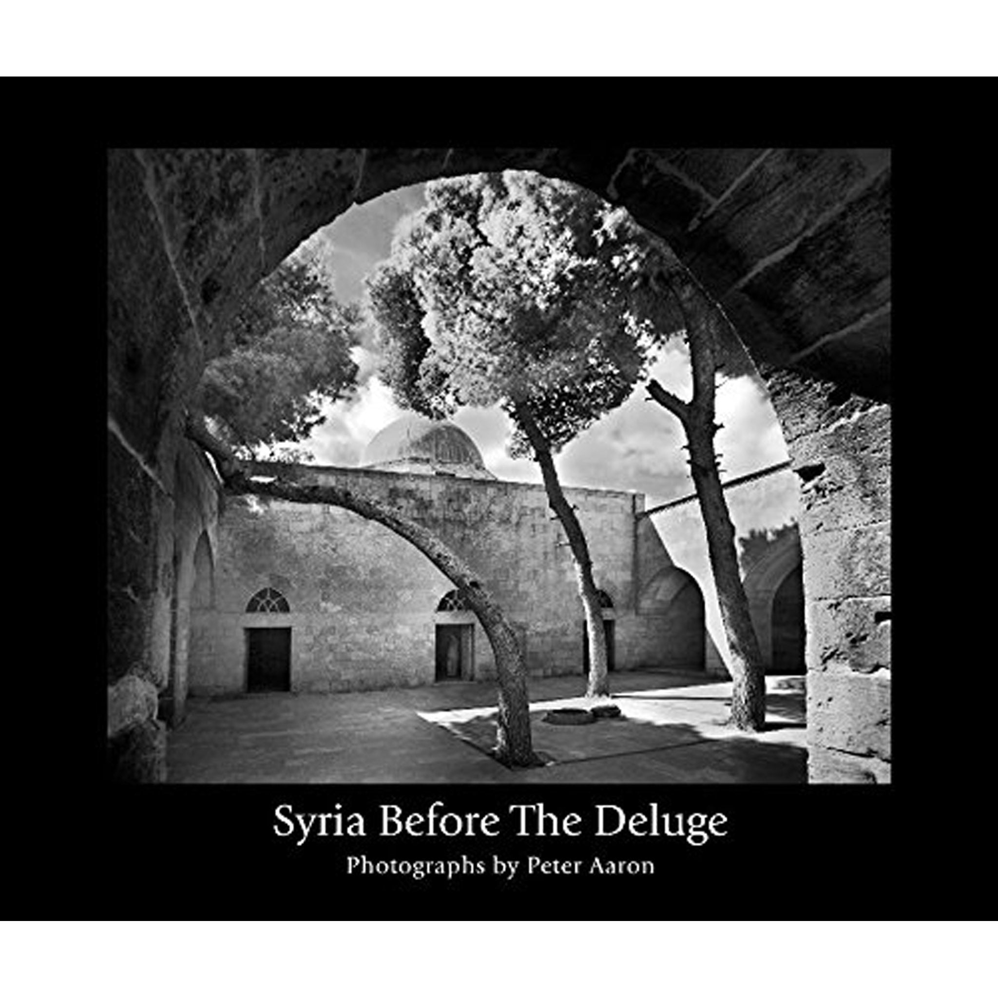 Syria Before the Deluge